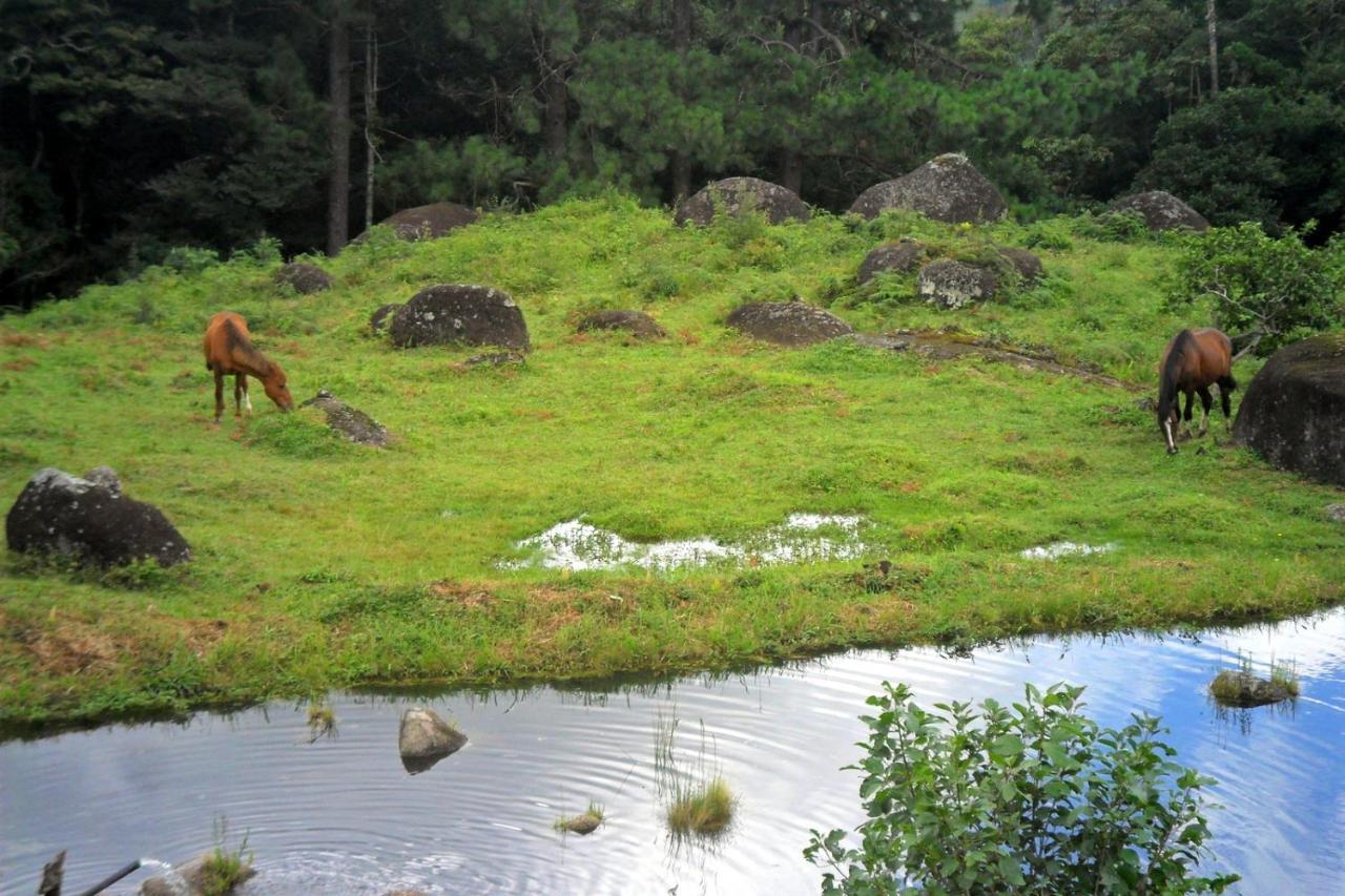 Fazenda Monte Verde A Morada Do Muriqui Βίλα São Francisco Xavier Εξωτερικό φωτογραφία