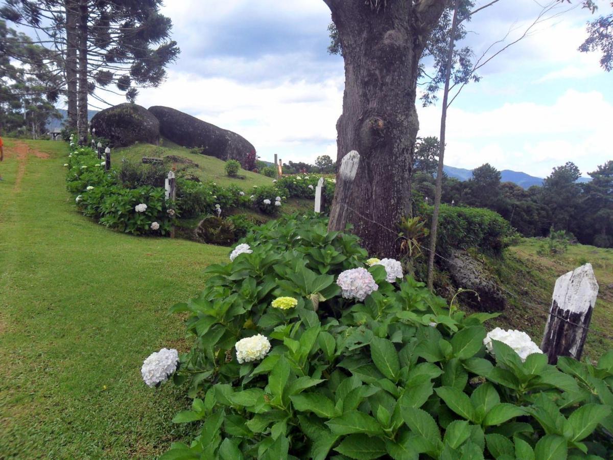 Fazenda Monte Verde A Morada Do Muriqui Βίλα São Francisco Xavier Εξωτερικό φωτογραφία