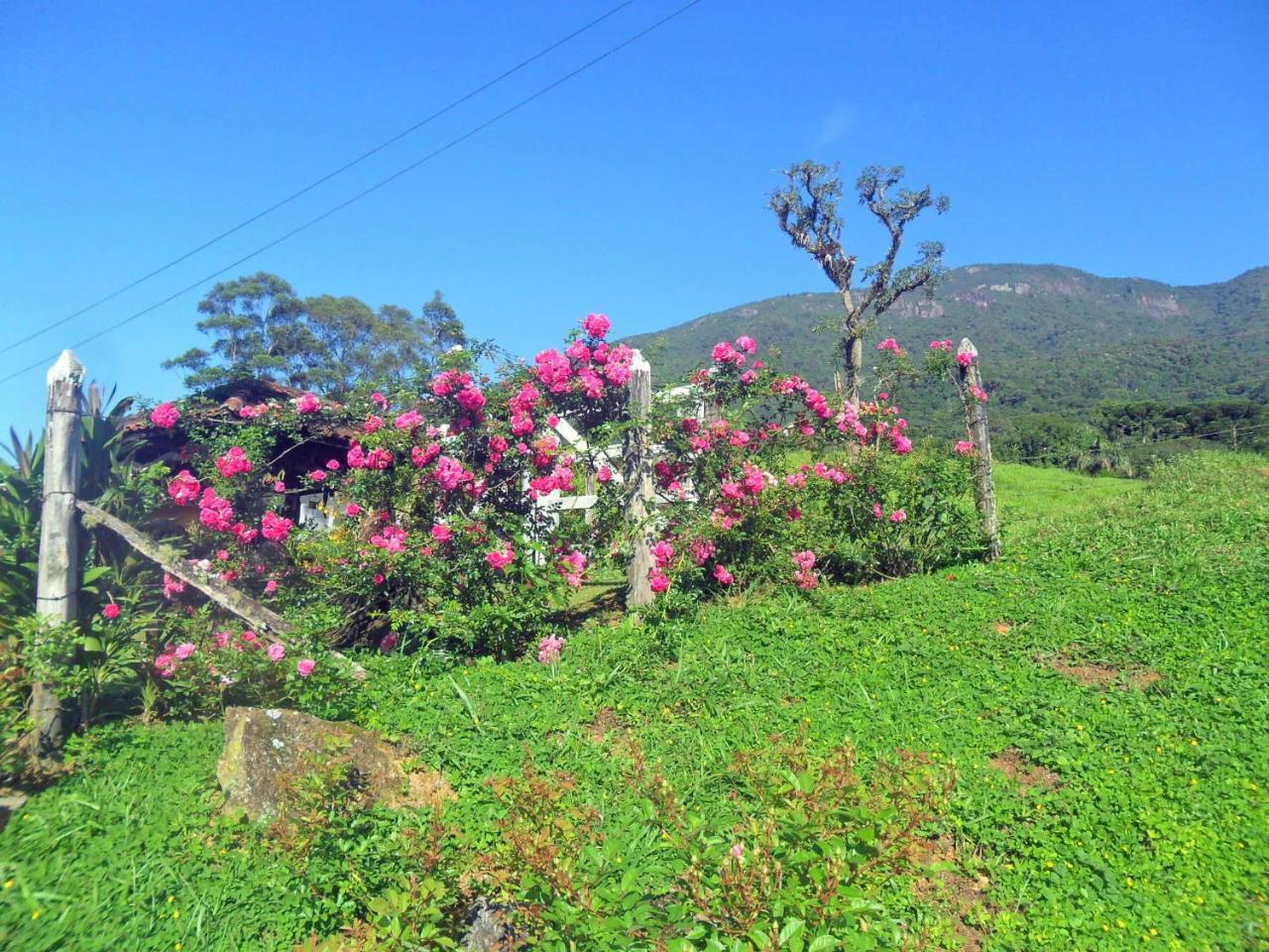 Fazenda Monte Verde A Morada Do Muriqui Βίλα São Francisco Xavier Εξωτερικό φωτογραφία