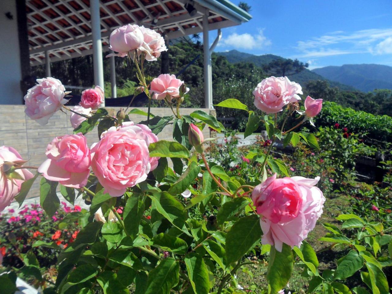 Fazenda Monte Verde A Morada Do Muriqui Βίλα São Francisco Xavier Εξωτερικό φωτογραφία